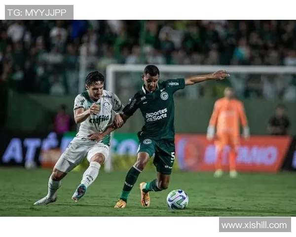 南美解放者杯波特诺山丘客场逼平强敌展现顽强斗志